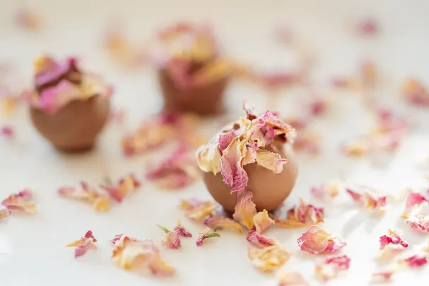 Casino Vegas Spins Application Android/iOS